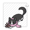 icon of a tuxedo cat